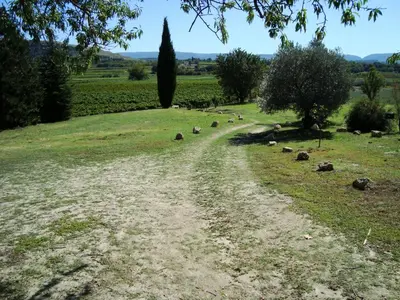a herd of sheep walking down a dirt road at Mas de Regardebon in Mazan