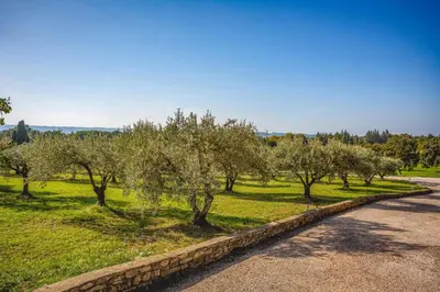 a road with trees on the side of a field at Villa Cheval Blanc by Villa Plus in Cheval-Blanc