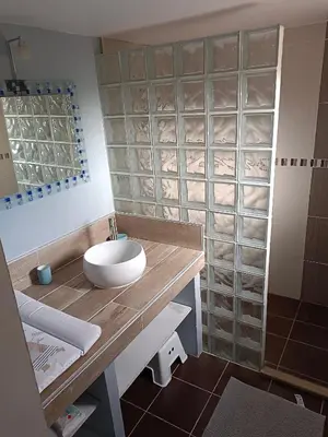 a bathroom with a sink and a glass wall at Gîte à la ferme in Sénas