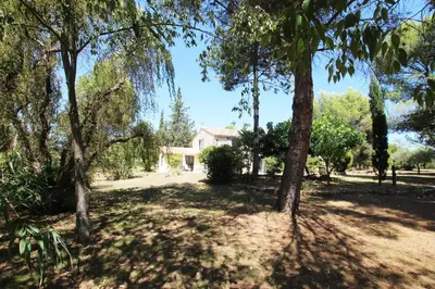 a house in the middle of a yard with trees at La ferme du Loup in Cucuron