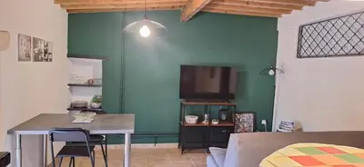 a living room with a green wall with a television at Complexe dans un grand Mas Provençal en campagne avec piscine privée in Monteux