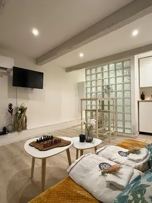 a living room with a couch and a table at Studio de Charme, Plein centre in LʼIsle-sur-la-Sorgue