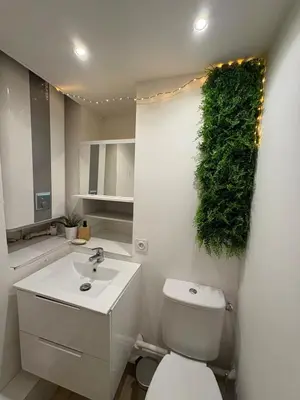 a bathroom with a toilet and a green plant on the wall at Studio de Charme, Plein centre in LʼIsle-sur-la-Sorgue