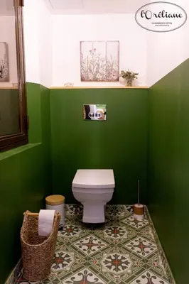 a green bathroom with a toilet and a green wall at CHAMBRES D'HÔTES L'Oréliane en Provence Adults Only in Châteauneuf-de-Gadagne