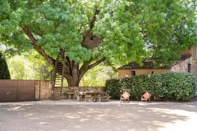 a table and chairs under a tree with a ladder at Cabane Perchée avec Jacuzzi, au Coeur du Luberon in Oppède