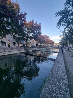 a small pond in a park with trees and buildings at Cozy apartment in LʼIsle-sur-la-Sorgue