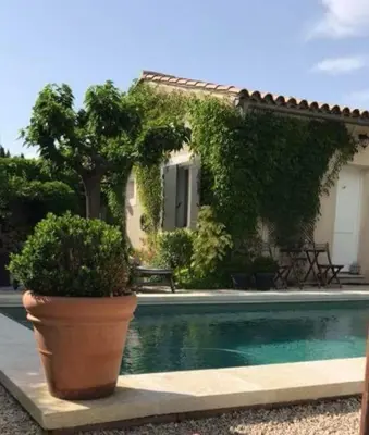 a potted plant sitting next to a swimming pool at 