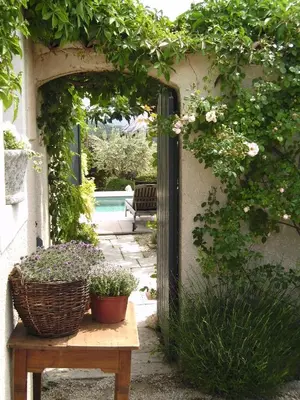 an archway with two potted plants on a wooden table at 