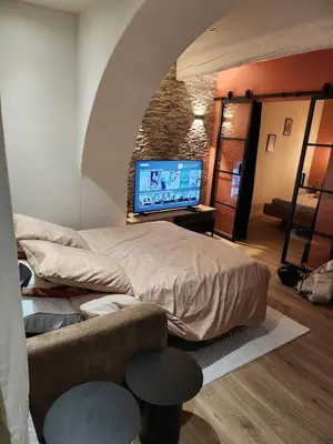 a bedroom with a bed and a flat screen tv at Escapade sur la Sorgue in LʼIsle-sur-la-Sorgue