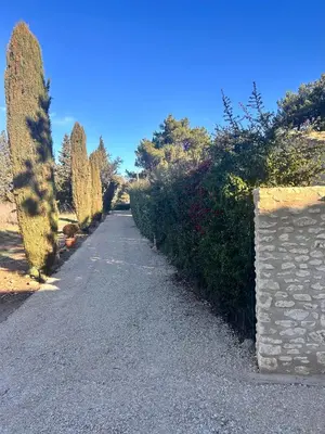 an empty road with bushes and a stone wall at Mazet LEAJO 2 in Eygalières