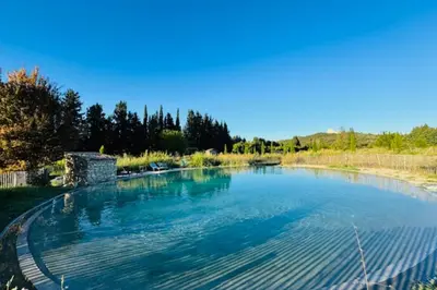 a large pool of water in a yard at Magnificent Bourgeois House Renovated with Elegance and Art Deco Style in Le Thor