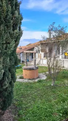 a house with a yard with a tree at L'Isle en coeur air-conditioned house with garden and swimming pool in LʼIsle-sur-la-Sorgue