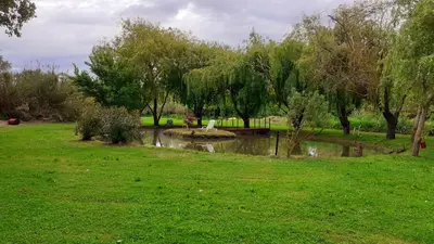 a park with a pond with a swan in it at Maison au bord de l'eau in Le Thor