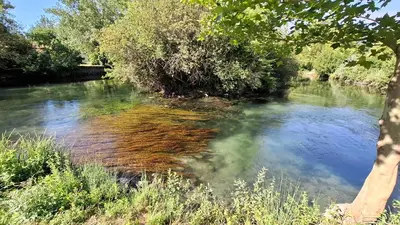 a river with clear water and trees on the side at Maison au bord de l'eau in Le Thor