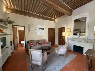 a living room with a couch and a fireplace at Bel appartement aixois dans le centre historique in Aix-en-Provence