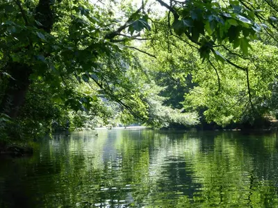 a view of a river through the trees at Charming Holiday Villa with Pool in LʼIsle-sur-la-Sorgue