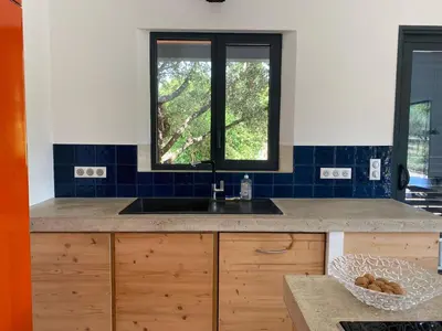 a kitchen with a sink and two windows at Le Jardin des Graminées in Cabrières-dʼAvignon