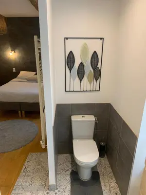 a bathroom with a toilet and a bed at restaurant Dame L'Oie in Pernes-les-Fontaines