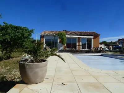 a potted plant sitting next to a swimming pool at Iris Caromb in Caromb