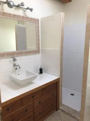 a bathroom with a sink and a shower at Maison d'hôte en Provence avec petit déjeuner in Mollégès