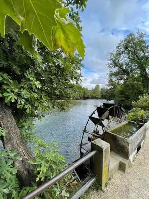 a boat sitting on the side of a river at Casa Regina - Spacieux appartement près de la Sorgue in LʼIsle-sur-la-Sorgue