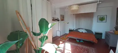 a living room with a bed and a plant at Gite la Muscadelle l Isle sur sorgue in LʼIsle-sur-la-Sorgue