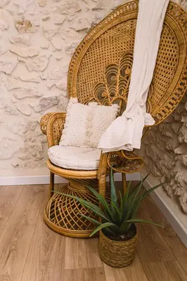 a wicker chair with a pillow and a plant at Grand Mas Provençal Luberon in Cavaillon