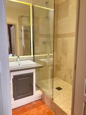 a bathroom with a sink and a glass shower at L Appart Aixois in Aix-en-Provence