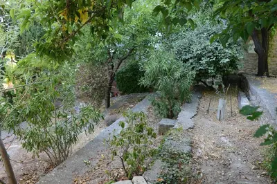 a garden with trees and plants on a path at Grande maison de village - solarium et terrasse in Saint-Martin-de-Castillon
