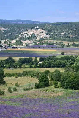 an overhead view of a field with purple flowers at Grande maison de village - solarium et terrasse in Saint-Martin-de-Castillon