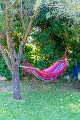 a hammock hanging from a tree in a yard at Mas des Agranas in Sénas