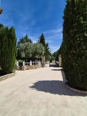 a large driveway with a tree in the middle at Mas Provençal with Swimming Pool & Air Conditioning in Rustrel