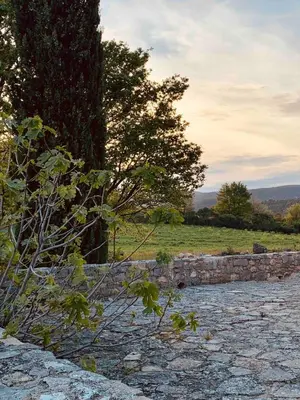 a stone wall and a tree in a field at Provencal farmhouse in Luberon's heart with pool in La Bastide-des-Jourdans