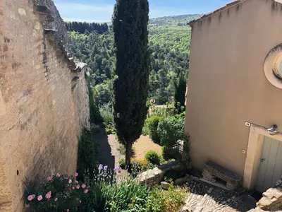 an outdoor garden with two trees and flowers at Campanina in Bonnieux