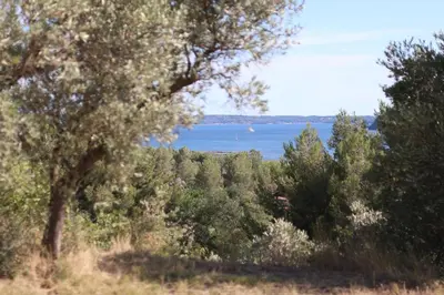 a view of a body of water with trees at Maison Provençale Vue Étang & Charme Médiéval in Saint-Chamas