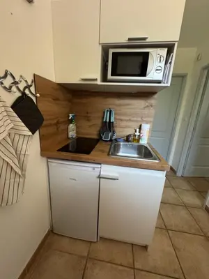 a small kitchen with a sink and a microwave at Chez DOMI in LʼIsle-sur-la-Sorgue