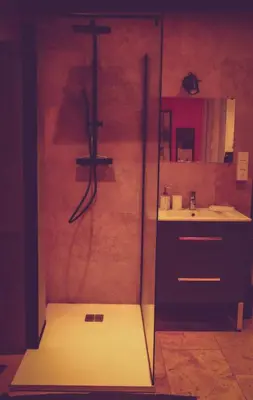 a shower in a bathroom with a sink at Osez! Le fruit défendu Loveroom Carpentras in Carpentras