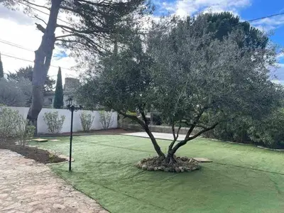 a tree in the middle of a green lawn at Maison provençale familiale avec piscine - 6 personnes in Lambesc