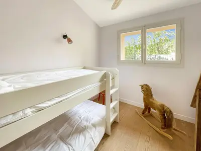a bedroom with two bunk beds and a dog sitting on the floor at Grande maison de famille rénovée, vue sur Sainte Victoire in Venelles