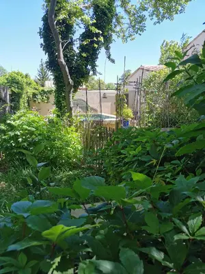 a garden with green plants and a fence at le cabanon du clos in LʼIsle-sur-la-Sorgue