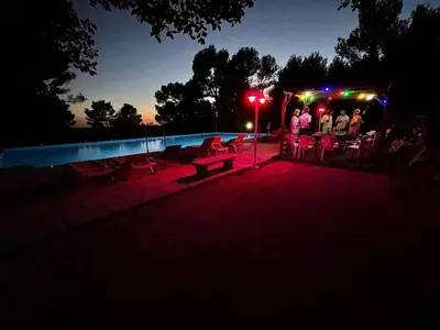 a group of people standing at a party by a pool at night at Lubéron Gîte Chaleureux 100 m2 piscine jardin in Saumane-de-Vaucluse