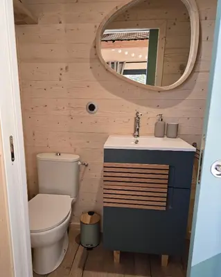a bathroom with a toilet and a sink and a mirror at La Cabane Aixoise Piscine & Jacuzzi in Aix-en-Provence
