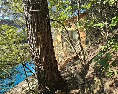 a staircase leading up to a house behind a tree at La Cabane Aixoise Piscine & Jacuzzi in Aix-en-Provence