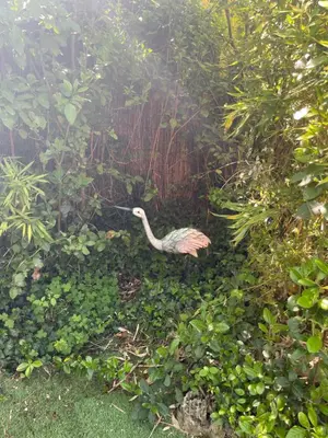a ostrich standing in a field of plants at Zen house with a view in Manosque