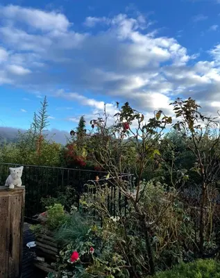 a garden with a vase on a fence at Zen house with a view in Manosque