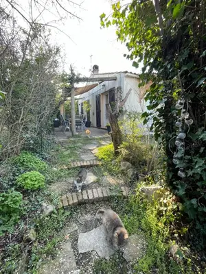 two monkeys laying on the ground in front of a house at Zen house with a view in Manosque