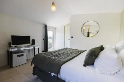 a bedroom with a bed with a mirror and a television at Domaine Manon en Luberon privatisé - 22 couchages in Lagnes