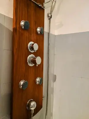 a shower with a wooden door in a bathroom at Gîte Sorgue - Exceptionnel 125 m2 Piscine Parking Jardin in Saumane-de-Vaucluse