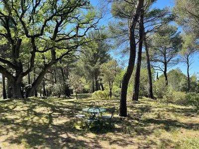 a picnic table in a park with trees at Gîte Sorgue - Exceptionnel 125 m2 Piscine Parking Jardin in Saumane-de-Vaucluse