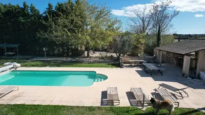 a dog is standing next to a swimming pool at Pavillondulantana in Les Taillades